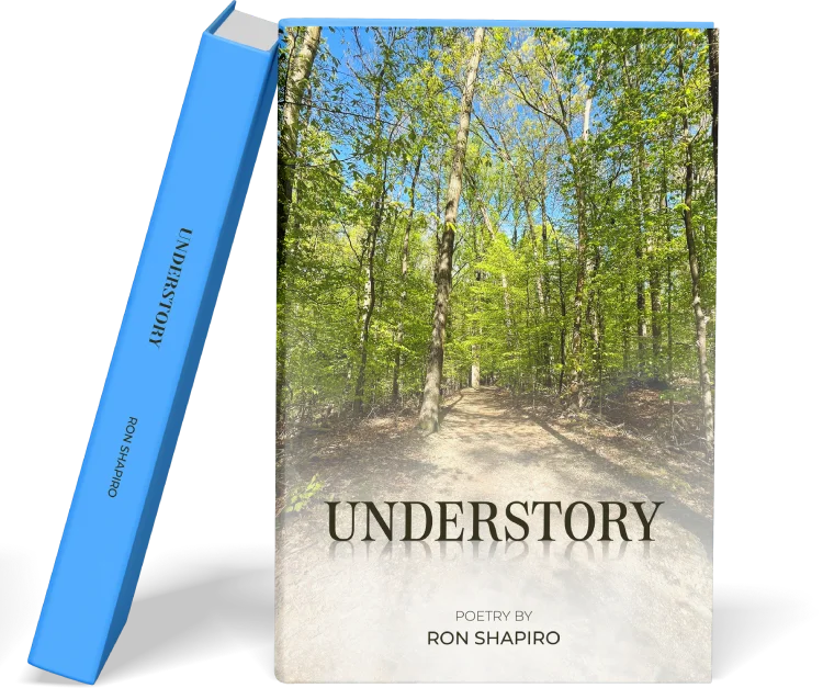 Unlock Story